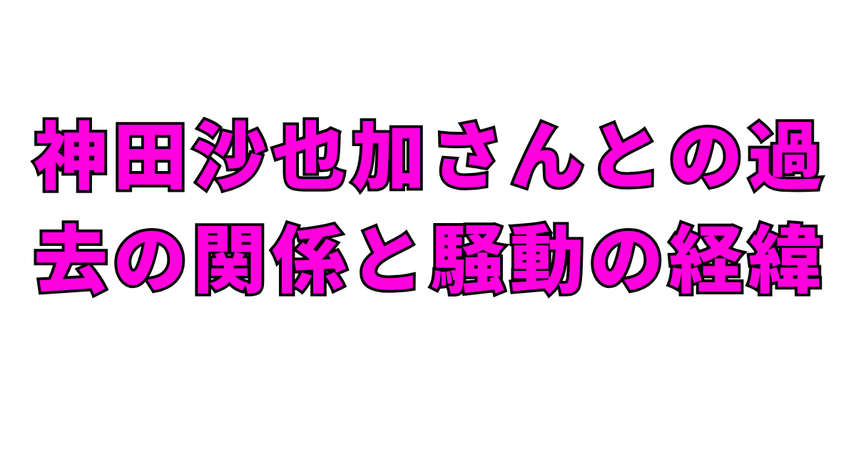 神田沙也加さんとの過去の関係と騒動の経緯