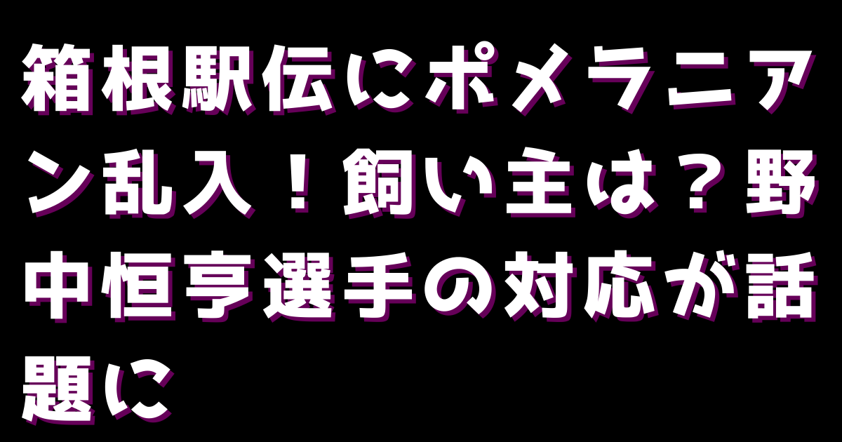 箱根駅伝にポメラニアン乱入！飼い主は？野中恒亨選手の対応が話題に