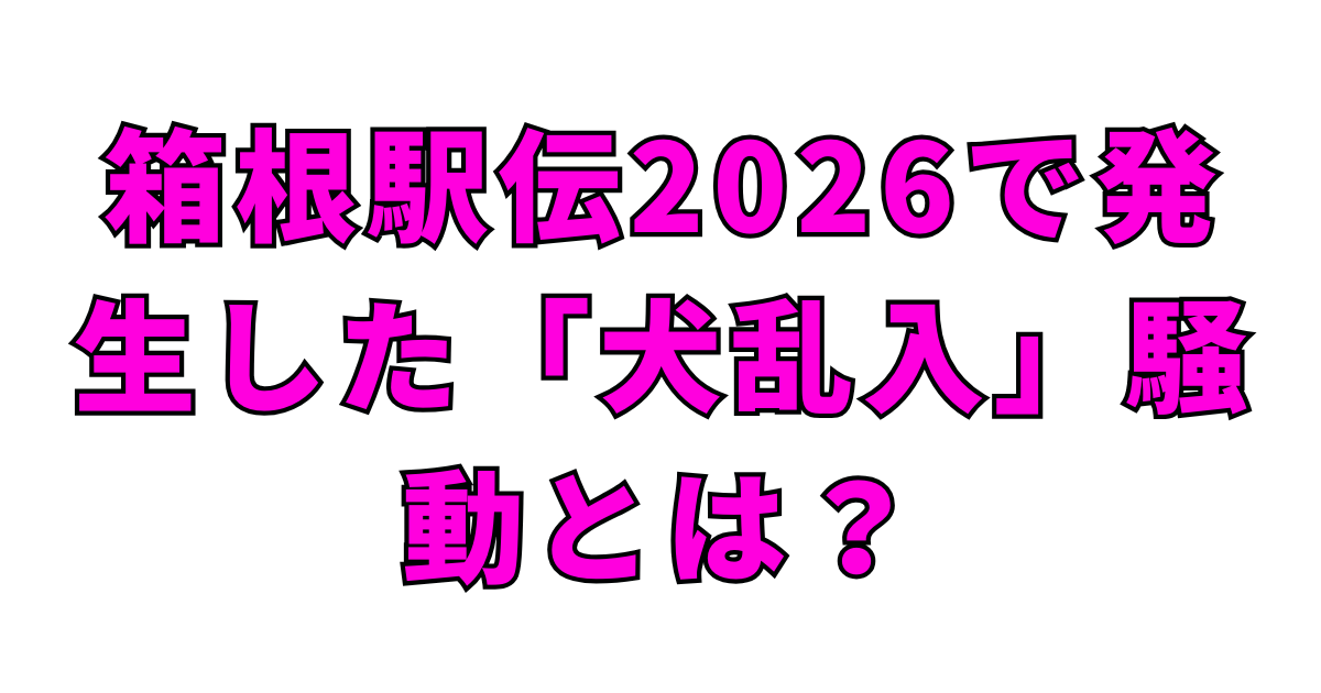 箱根駅伝2026で発生した「犬乱入」騒動とは？