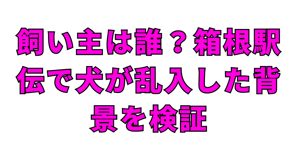 飼い主は誰？箱根駅伝で犬が乱入した背景を検証