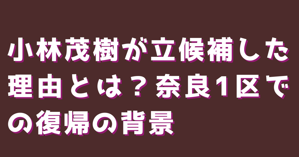 小林茂樹が立候補した理由とは?奈良1区での復帰の背景