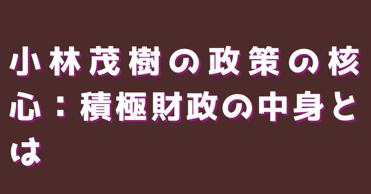小林茂樹の政策の核心:積極財政の中身とは